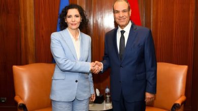 صورة الخارجية : الوزير عبد العاطي بثمن التطورات الإيجابية التي تشهدها العلاقات المصرية مع الاتحاد الأوروبي