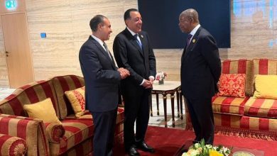 صورة رئيس جمهورية أنجولا يستقبل رئيس مجلس الوزراء