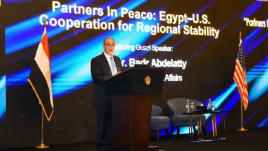 صورة وزير الخارجية يشيد بعمق الشراكة الاستراتيجية بين مصر و الولايات المتحدة