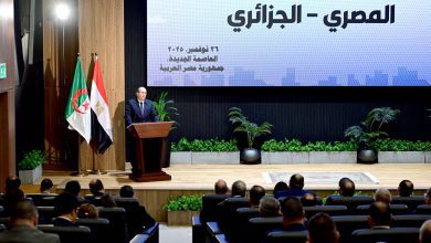 صورة الوزير الأول للجزائر: الزخم التاريخي المتجذّر للعلاقات مع مصر دافع قوي لتعزيز التواصل والتكامل