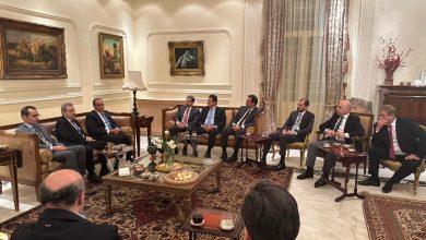 صورة وزير الخارجية : صون لبنان واستقلال قراره الوطني أولوية ثابتة في السياسة الخارجية المصرية.