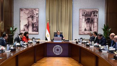 صورة رئيس الوزراء يتابع خطط التطوير والتشجير بالقاهرة الكبرى