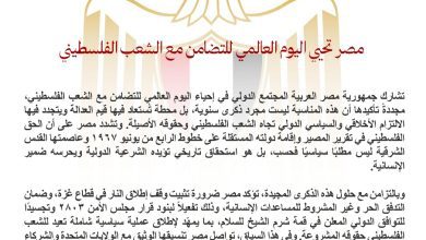 صورة مصر تؤكد ضرورة تثبيت وقف النار في غزة بمناسبة اليوم العالمي للتضامن مع الفلسطينيين