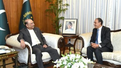 صورة وزير الخارجية يسلم رسالة خطية من الرئيس السيسى إلى رئيس باكستان حول تطوير العلاقات الثنائية