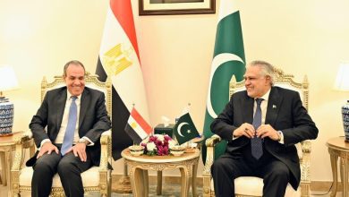 صورة وزير الخارجية يعرب عن تقدير مصر للعلاقات التاريخية الوثيقة مع باكستان