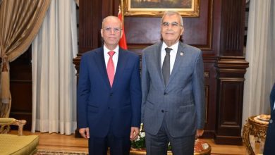 صورة السفير العراقي يلتقي رئيس مجلس الشيوخ في القاهرة.