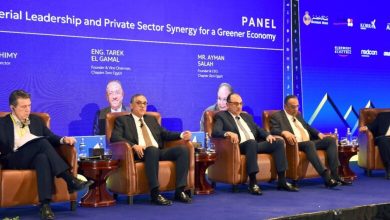 صورة هيبة : إنتاج ضخم للألواح الشمسية بنسبة مكون محلي 90% في الربع الأول من 2026