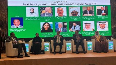 صورة فاروق : مبادرة “تحويشة” للادخار الرقمي ساهمت في رفع نسبة الشمول المالي للنساء بمصر إلى 68% خلال 2024