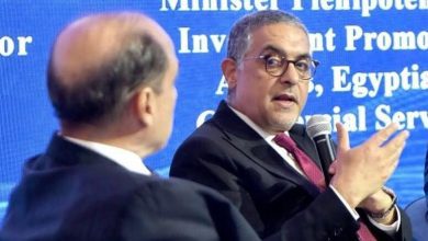 صورة هيبة : الطلب الصيني الضخم على الاستثمار بمصر كان من أهم الدوافع للتوسع في المناطق الحرة