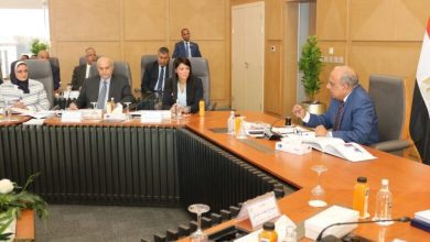 صورة 45 مليار جنيه حجم استثمارات “المصرية لنقل الكهرباء” بخطة 2026/2025