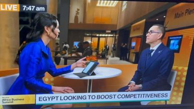 صورة الخطيب : نعمل على استعادة تدفقات الاستثمار الأجنبي المباشر بعد التحديات الاقتصادية الأخيرة