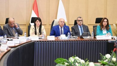 صورة “الوزير” : الموافقة على ضخ كميات الطاقة المطلوبة لـ 7 شركات تعمل بقطاعات صناعية مختلفة