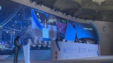 صورة وزيرة التنمية المحلية : نستهدف زيادة مساهمة الصناعة لـ 20% من الناتج المحلي الإجمالي بحلول 2030