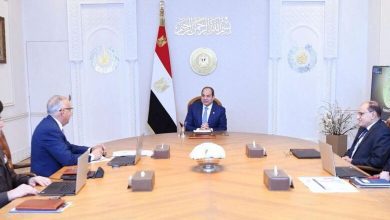 صورة الرئيس السيسي : ضرورة إفساح المجال أمام القطاع الخاص لتحقيق طفرة بالمشروعات الزراعية