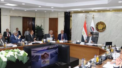 صورة 11.6 مليار جنيه إيرادات “القابضة للأدوية” خلال 2024 / 2025