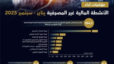 صورة 954.2 مليار جنيه حجم الأنشطة المالية غير المصرفية خلال الـ 9 أشهر الأولى من 2025
