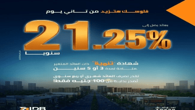 صورة بنك التنمية الصناعية يطرح شهادة «تنمية» بعائد 21.25% سنويًا