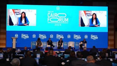 صورة “المشاط” : نعمل على توسيع مشاركة القطاع الخاص من خلال أدوات مبتكرة لتقليل المخاطر