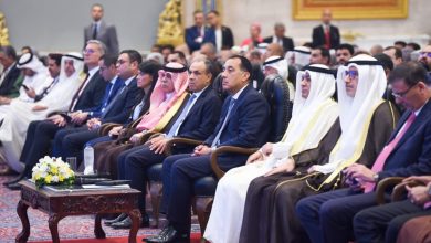 صورة وزير الخارجية يؤكد الأولوية البالغة التي يوليها الرئيس السيسي للعلاقات بين مصر ودول الخليج