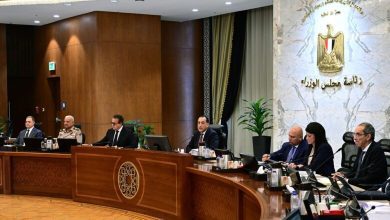 صورة الحكومة : طرح رخصتين لإقامة مشروعات لإنتاج الأسمنت البورتلاند الرمادي في مزايدة علنية بين الشركات المحلية