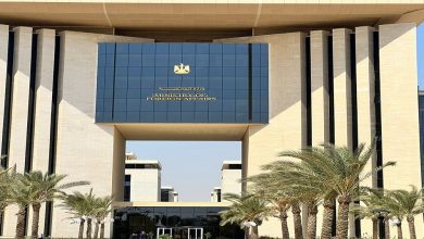 صورة الخارجية تناشد الجاليات المصرية مراعاة قوانين الدول الخاصة بنشر الفيديوهات