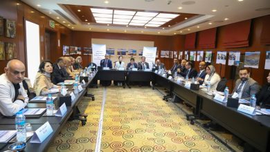 صورة الباحثون الخبراء يناقشون التجربة الصينية وفكر شي جين بينغ في القاهرة