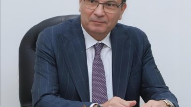 صورة وزير الزراعة يعلن إعادة فتح السوق الأردني أمام صادرات مصر من الخيول العربية المصرية الأصلية