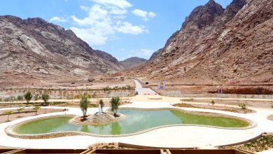 صورة مشروع “التجلي الأعظم” بسانت كاترين يفوز بالجائزة الأولى في مؤتمر ” الشرق الأوسط للاند سكيب” بأبوظبي