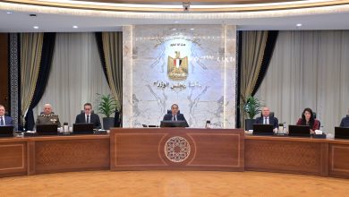 صورة خلال اجتماع الحكومة … رئيس جهاز التعبئة والإحصاء يُقدم عرضًا حول “التعداد العام للسكان والإسكان والمنشآت”