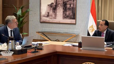 صورة رئيس الوزراء يستعرض مع وزير البترول عددًا من ملفات عمل الوزارة