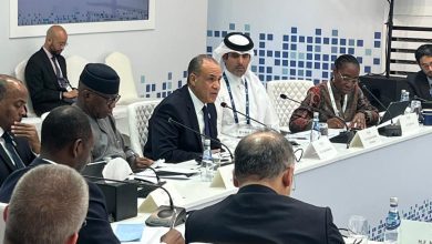 صورة وزير الخارجية: الصومال يمثل ركنا أساسيا في منظومة الأمن القومي المصري والعربي والإفريقي