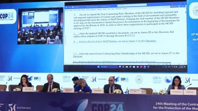 صورة وزيرة البيئة تعلن تولى مصر رئاسة المكتب التنفيذى لإتفاقية برشلونة بجانب رئاستها للإتفاقية لمدة عامين