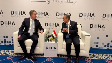 صورة وزير الخارجية يؤكد على الأولوية التي توليها مصر لتعزيز دور القطاع الخاص