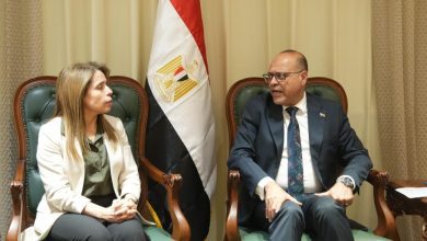 صورة وزير العمل يستقبل خبيرة منظمة العمل الدولية لبحث الاستعدادات لإصدار الاستراتيجية الوطنية للسلامة والصحة المهنية