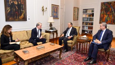 صورة وزير الخارجية يؤكد ضرورة التوصل إلى تسوية عادلة ومستدامة للقضية الفلسطينية