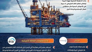 صورة مجلس الوزراء: مصر تعزز إنتاج الغاز الطبيعي عبر شراكات استراتيجية مع كبرى شركات الطاقة