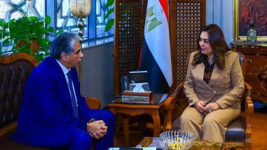 صورة وزيرة التنمية المحلية تلتقي مع المدير التنفيذي لمركز البيئة والتنمية للمنطقة العربية وأوروبا (سيداري) لبحث التعاون في المجالات المشتركة