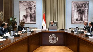 صورة رئيس الوزراء يستعرض مقترحات تطوير المنطقة المحيطة بالقلعة ومنطقة الزبالين بالقاهرة