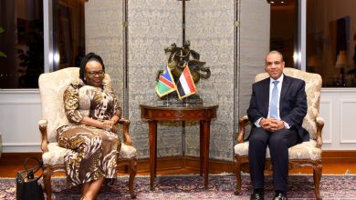 صورة وزير الخارجية يلتقي نظيره البوروندي لبحث سبل تعزيز العلاقات الثنائية