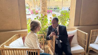 صورة وزير الخارجية يلتقي مع مستشارة الرئيس الفرنسي لشئون الشرق الأوسط على هامش منتدى صير بنى ياس