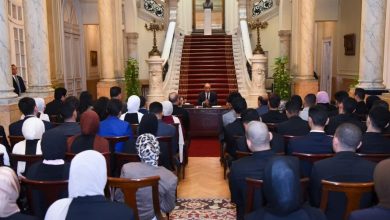 صورة وزير الخارجية: الدبلوماسية المصرية أحد أذرع القوة الشاملة للدولة وأداة رئيسية لتعزيز مكانتها الإقليمية والدولية