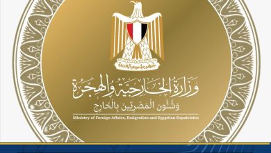 صورة جهود وزارة الخارجية في تقديم وتطوير الخدمات القنصلية خلال عام 2025
