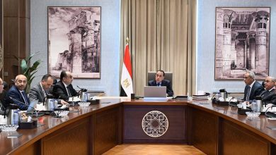 صورة رئيس الوزراء يتابع الموقف التنفيذي لمشروعات تطوير قطاع الغزل والنسيج