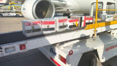 صورة مصر ترسل قافلة طبية نوعية ومستلزمات علاجية وأدوية إلى السودان