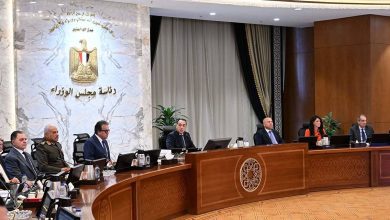 صورة تعرف على أبرز القرارات الصادرة عن مجلس الوزراء في اجتماعه اليوم
