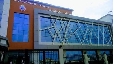 صورة الصحة: تقديم 1.4 مليون خدمة طبية بالمنشآت الصحية بمحافظة البحر الأحمر خلال 11 شهرًا