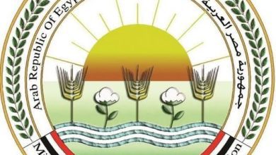 صورة “الزراعة” تبدأ استكمال صرف باقي حصص الأسمدة الشتوية