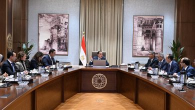 صورة رئيس الوزراء يستعرض مستجدات مشروع إعادة إحياء منطقة نزلة السمان كمقصد سياحي