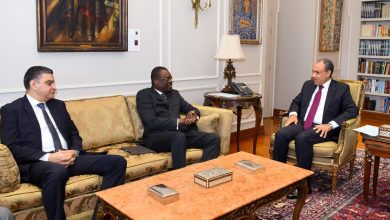 صورة وزير الخارجية يؤكد دعم مصر لتعزيز منظومة الصحة والأمن الدوائي في أفريقيا