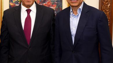 صورة وزير الخارجية يستعرض في لقاء مع الإعلامي الأمريكي “فريد زكريا” جهود مصر لدعم الأمن والاستقرار بالمنطقة